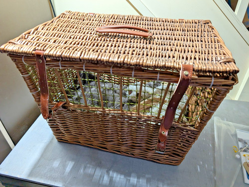 Vintage wicker pet carrier - pet,
