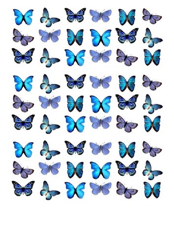 54x beautiful butterfly - 54x,