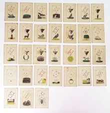 fortune telling cards card