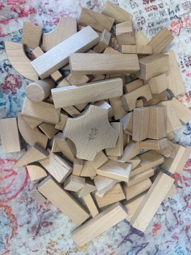 Community playthings bricks - community,