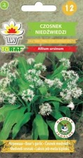 Wild Garlic Seeds (Allium ursinum) – Frost Hardy – Edible & Ornamental – New