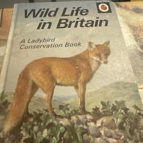 Wild life britain a - in, britain-a