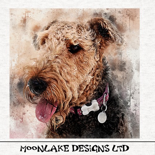 Dog airedale terrier - airedale,