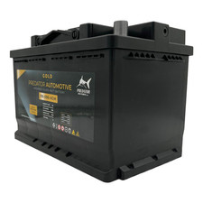 Predator Batteries Gold 096