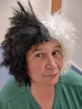 Cruella de Vil Wig 101