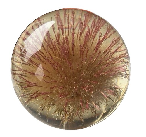 Hafod grange pink thistle - pink,