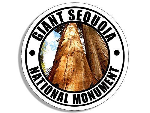 Giant sequoia national - giant,