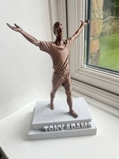 Tony Adams statue at Arsenal's