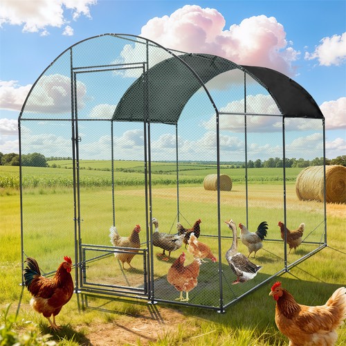 Outdoor metal chicken coop - outdoor,