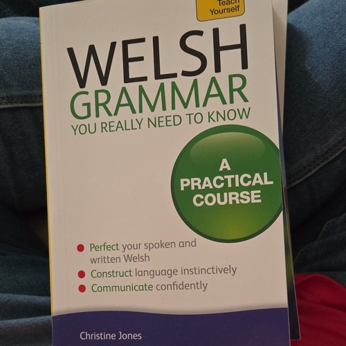 Teach yourself welsh grammar - welsh,