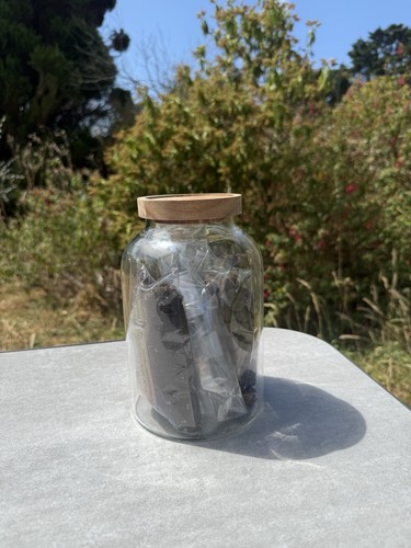 Diy terrarium starter - terrarium,