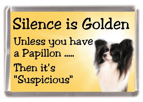 Papillon dog - (butterfly),
