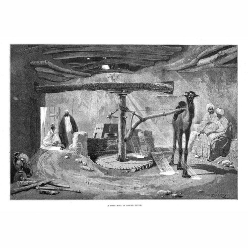 Egypt corn mill lower - mill,