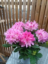 Personalized Mother's Day