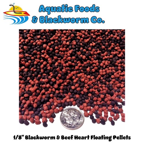 Blackworm beef heart 8 - &, 1/8"