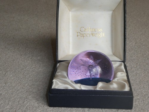 Caithness star flower - caithness,