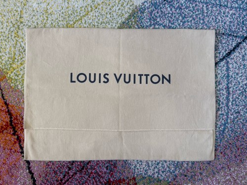 Louis vuitton handbag - louis, dust