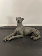 Greyhound dog slate grey