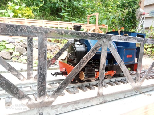 Scale garden railway - garden,