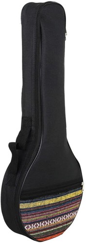 Banjo gig bag - banjo, thick