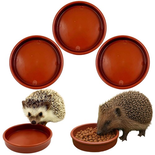 Hedgehog bowl for food and - hedgehog,