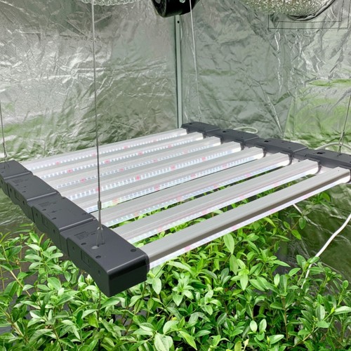 Led grow light full - grow, spectrum