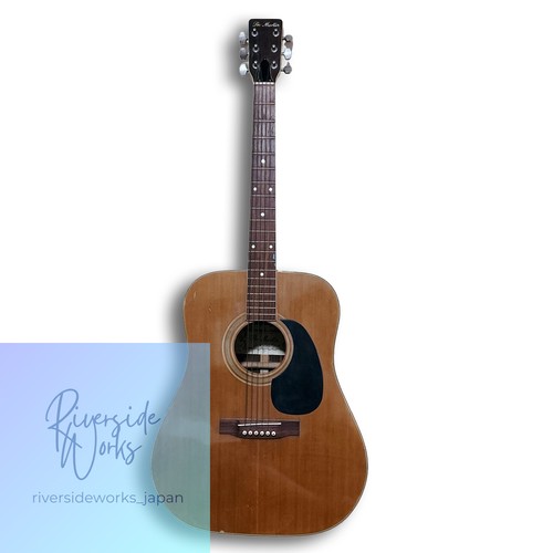 Acoustic guitar pro martin - acoustic,