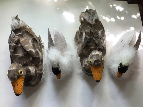 Bundle decorative duck - x,