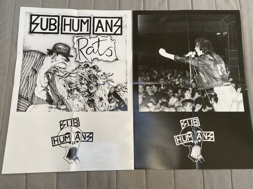 Subhumans posters rats - posters,