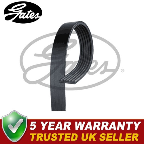 Gates ribbed belts - v-ribbed, fits