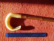 Rams horn walking stick or