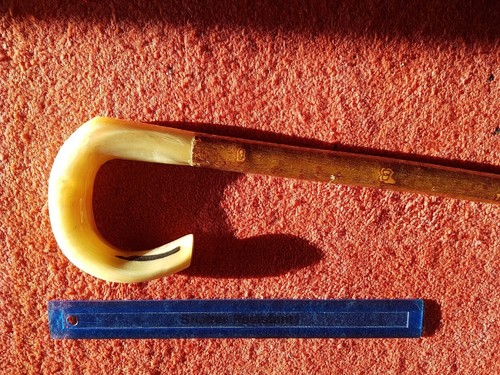 Rams horn walking - stick, or