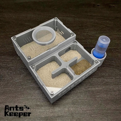 Ant farm flat - ant,