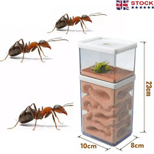 Ant House Ant Farm With
