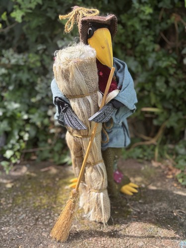 Crow scarecrow garden autumnal - crow,