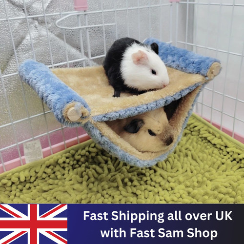 Ferret rat squirrel pet - squirrel,