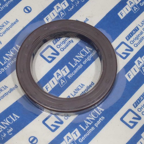 Motor shaft oil - motor,