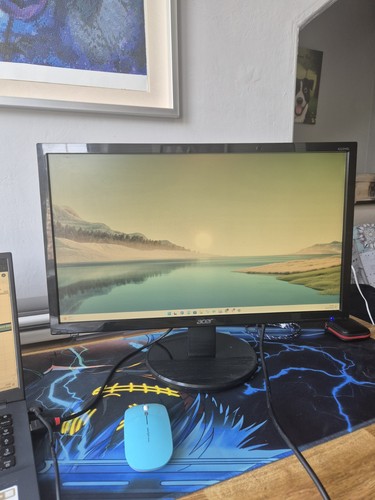Acer led computer monitor - led,