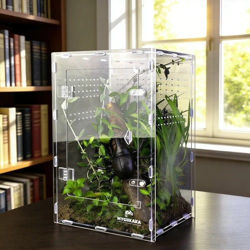 Clear acrylic reptile - clear,