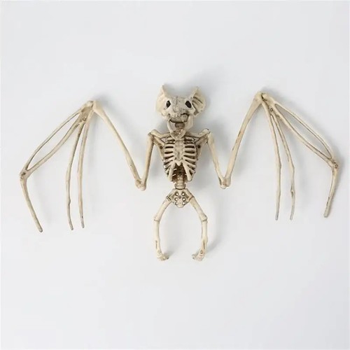 Halloween bat skeleton - halloween,