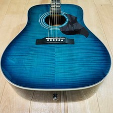 Epiphone Hummingbird artist