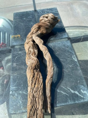 Aquarium driftwood branch - driftwood,