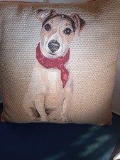 Jack Russell Terrier Dog
