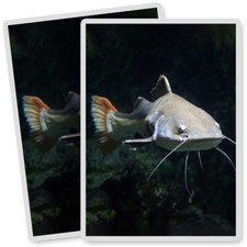 2 x Vinyl Stickers 7x10cm -