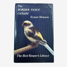 The Border Fancy Canary the