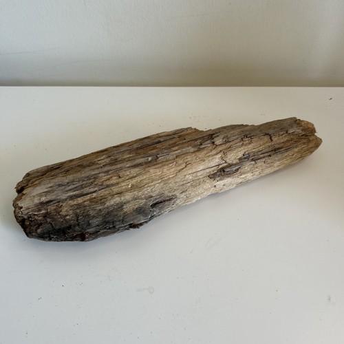 Driftwood piece natural - piece, –