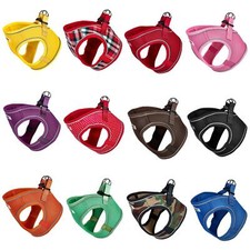 Reflective Dog Puppy Pet