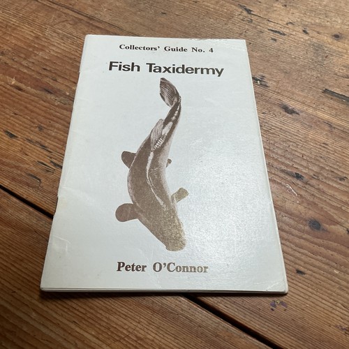 Fish taxidermy peter - taxidermy,
