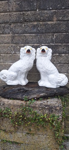 Stunning pair white - of,