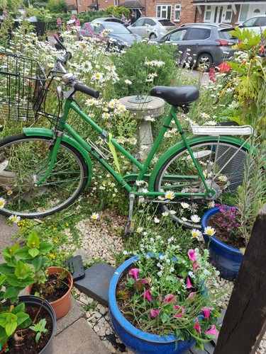 Vintage ladies phillip bike - vintage,
